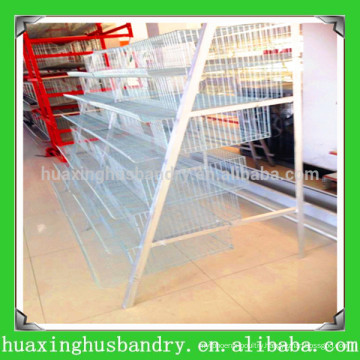 hot selling and good quality quail cage design for sale